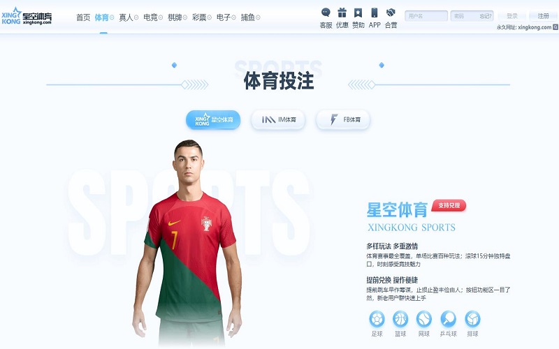 摩根体育APP 摩根体育APP
